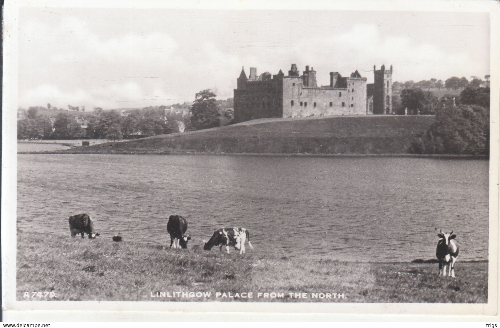 Linlithgow - Palace From The North - West Lothian