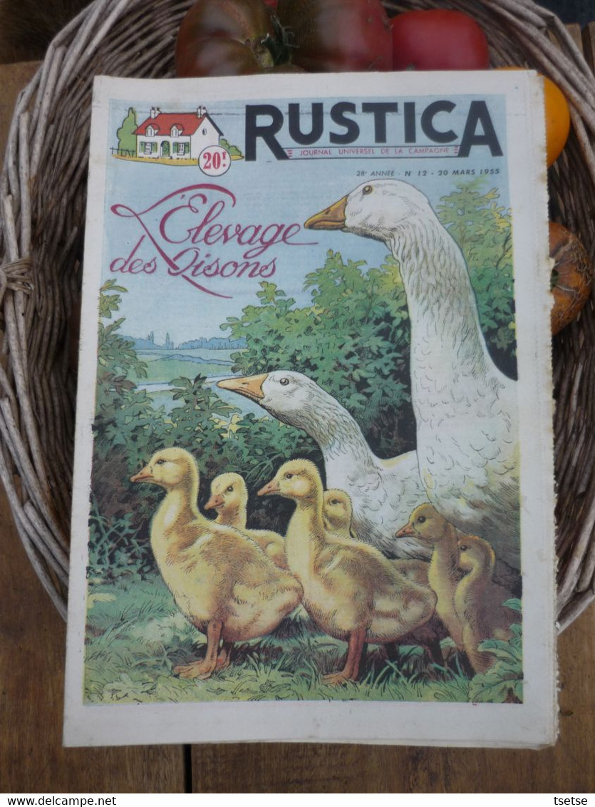 Ancienne Revue Des Campagnes " Rustica " Sur La Nature Et Le Jardinage - 20 Mars 1955 - Jardinage