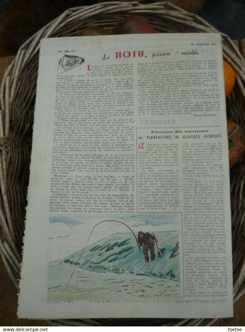 Ancienne Revue Des Campagnes " Rustica " Sur La Nature Et Le Jardinage - 20 Mars 1955 - Garten