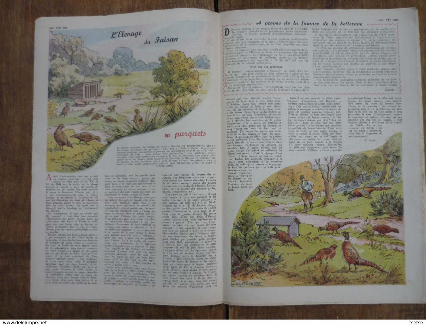 Ancienne Revue Des Campagnes " Rustica " Sur La Nature Et Le Jardinage - 29 Mai 1955 - Garden