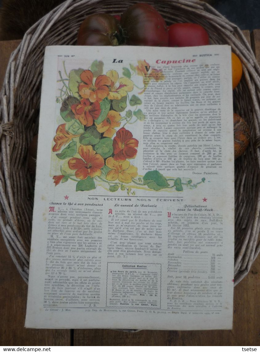 Ancienne Revue Des Campagnes " Rustica " Sur La Nature Et Le Jardinage - 29 Mai 1955 - Garden