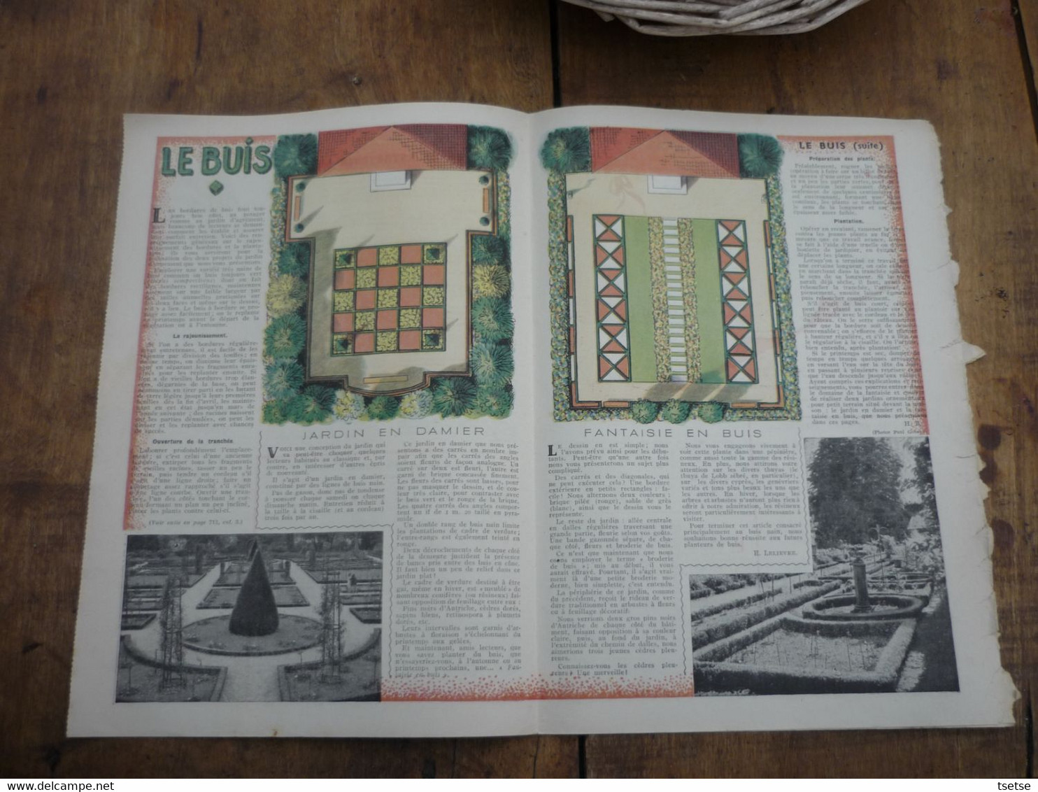 Ancienne Revue Des Campagnes " Rustica " Sur La Nature Et Le Jardinage - 24 Juillet 1955 - Jardinería