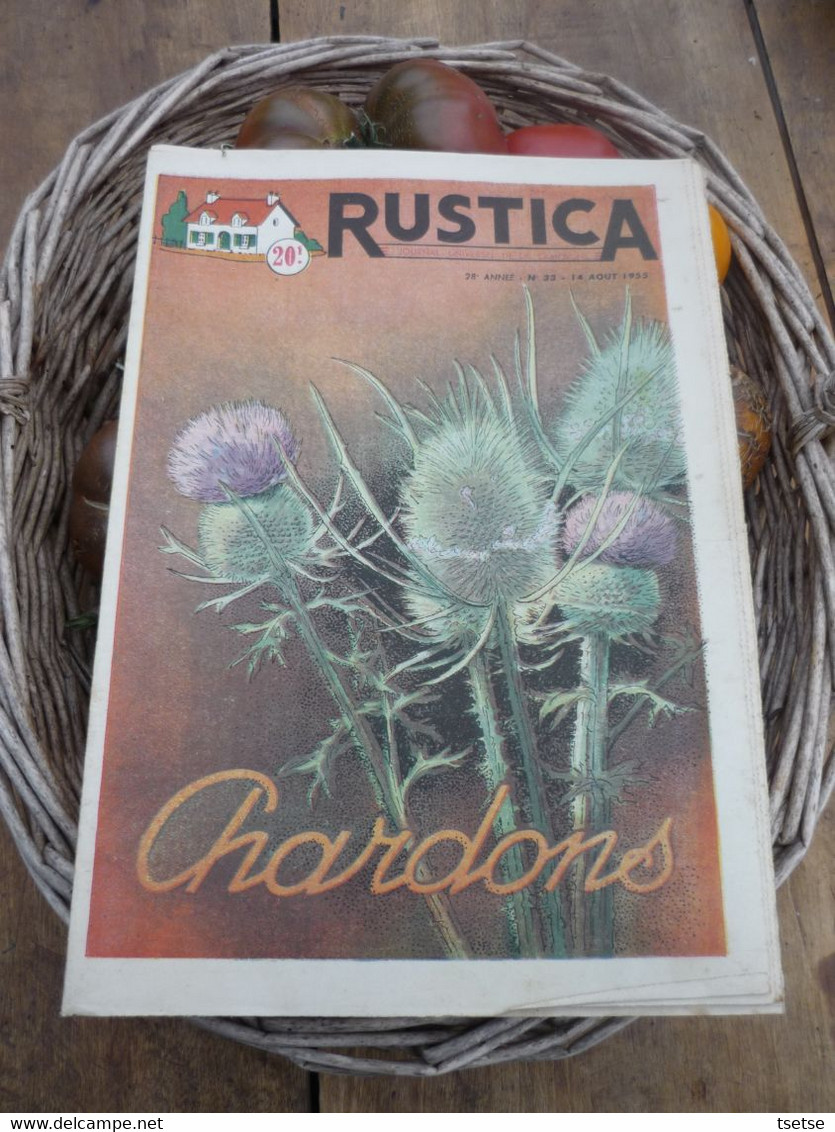 Ancienne Revue Des Campagnes " Rustica " Sur La Nature Et Le Jardinage - 14 Août 1955 - Jardinería