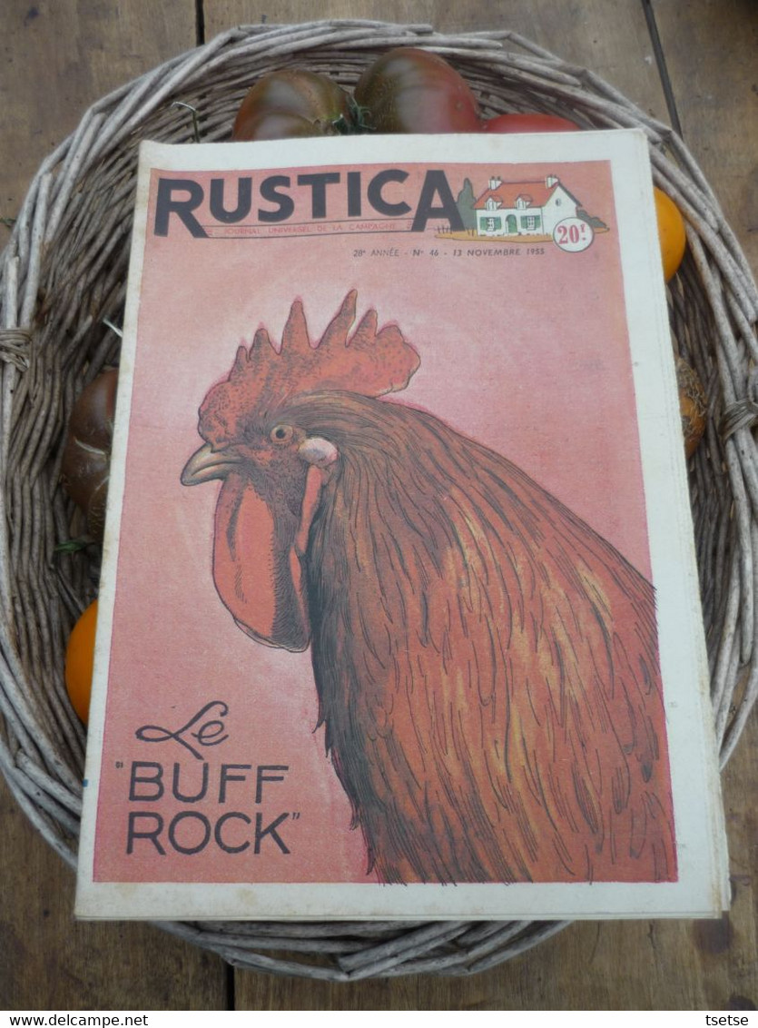 Ancienne Revue Des Campagnes " Rustica " Sur La Nature Et Le Jardinage - 13 Novembre 1955 - Jardinería