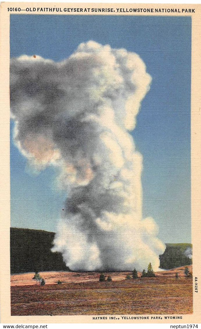 Yellowstone National Park, Old Faithful Geyser - Yellowstone