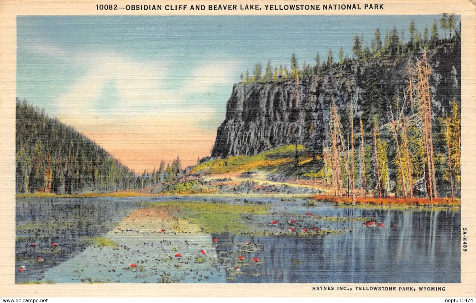 Yellowstone National Park, Obsidian Cliff And Beaver Lake - Yellowstone