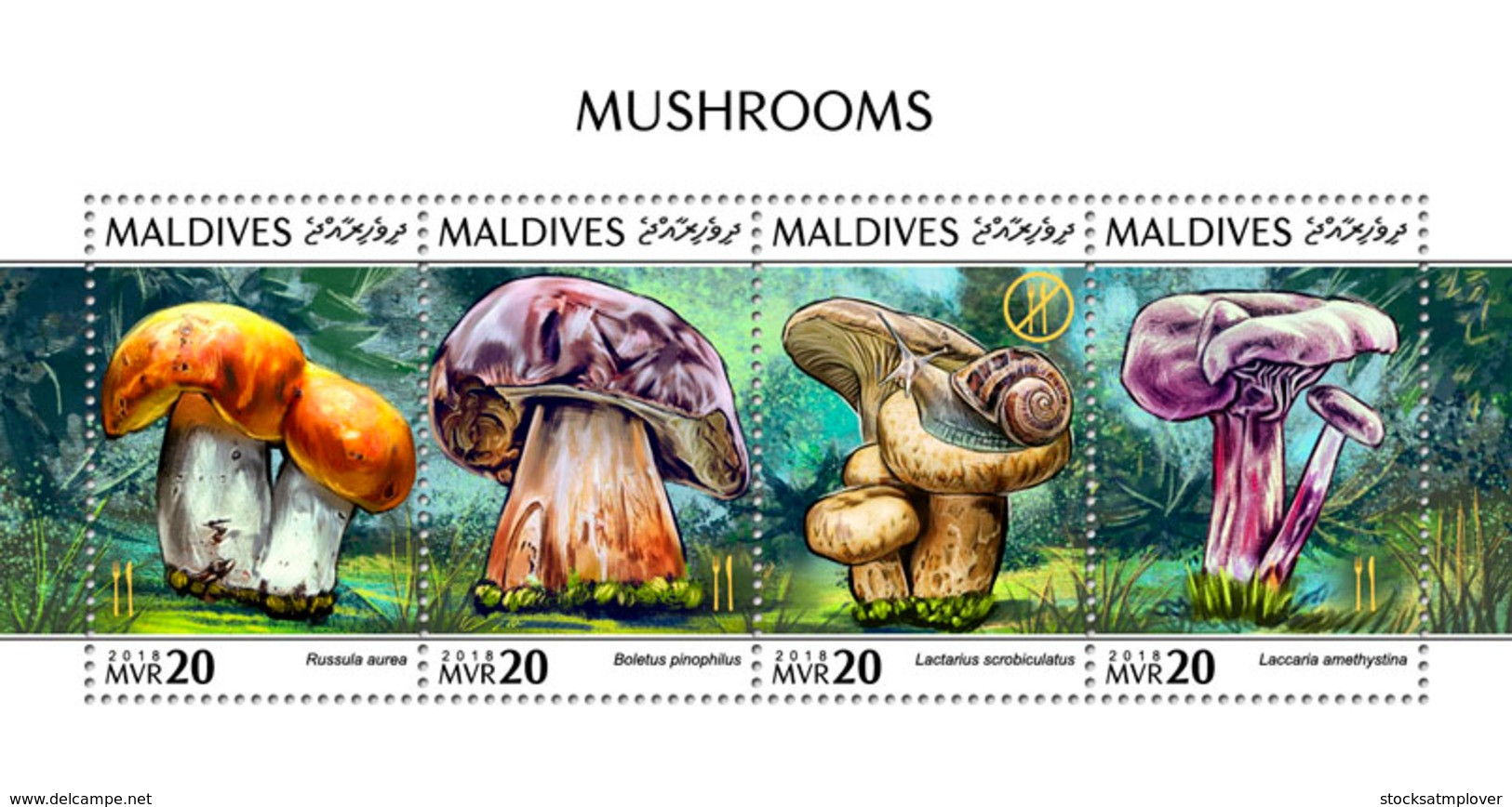 Maldives 2018  Mushrooms   S201810 - Maldives (1965-...)