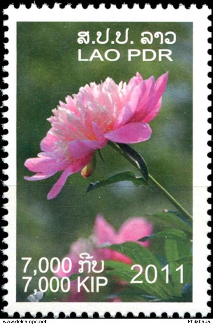 Laos 2011 YT 1786/87 ; Mi# 2196/97 MNH Flowers - Roses - Laos