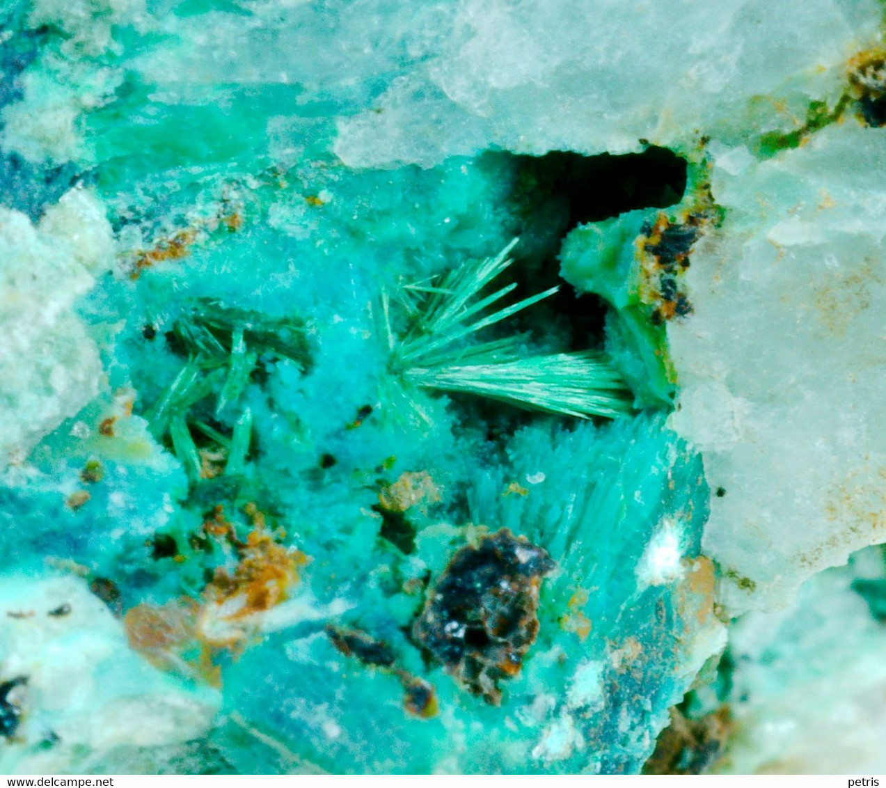 Malachite E Calcopirite (Val Di Stabio, Breno, Brescia, Italia) - Lot. S341 - Minerali