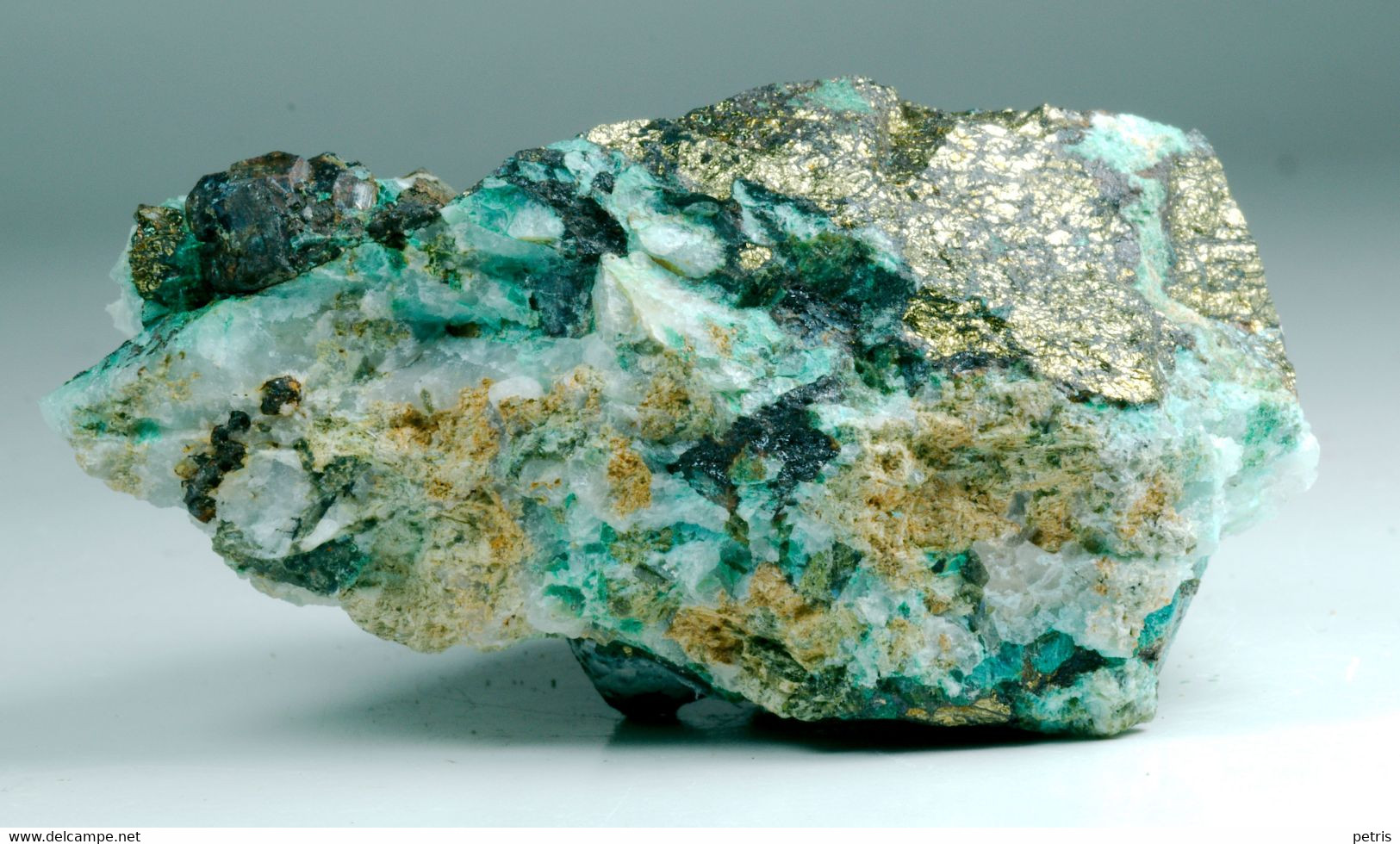 Malachite E Calcopirite (Val Di Stabio, Breno, Brescia, Italia) - Lot. S341 - Minerali