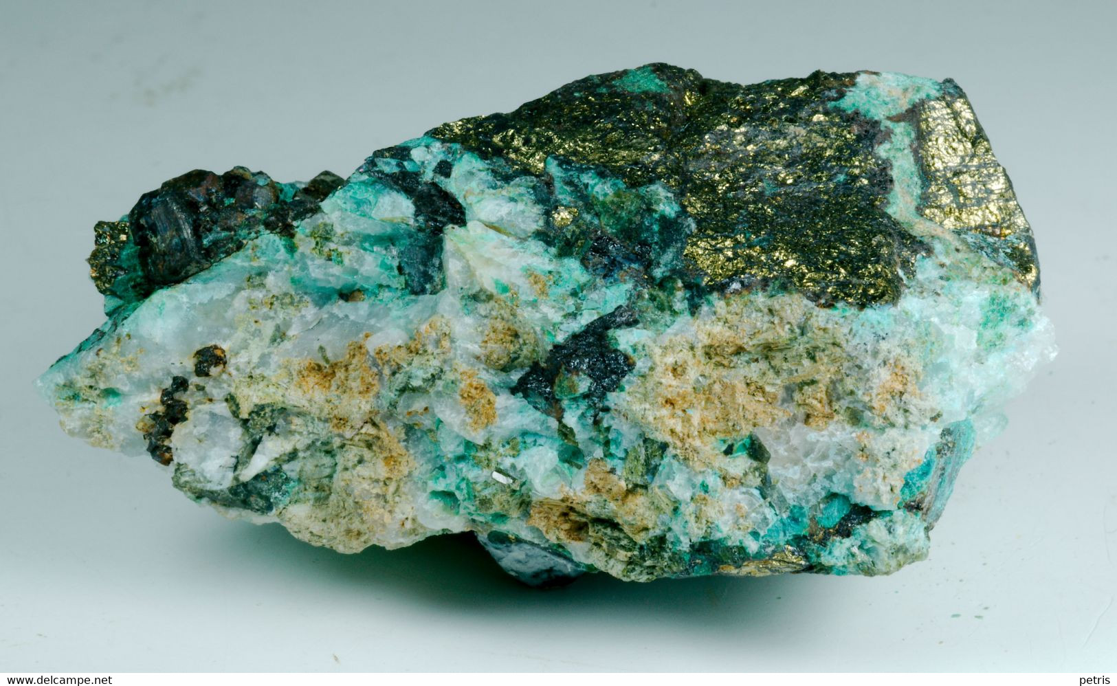 Malachite E Calcopirite (Val Di Stabio, Breno, Brescia, Italia) - Lot. S341 - Minerali