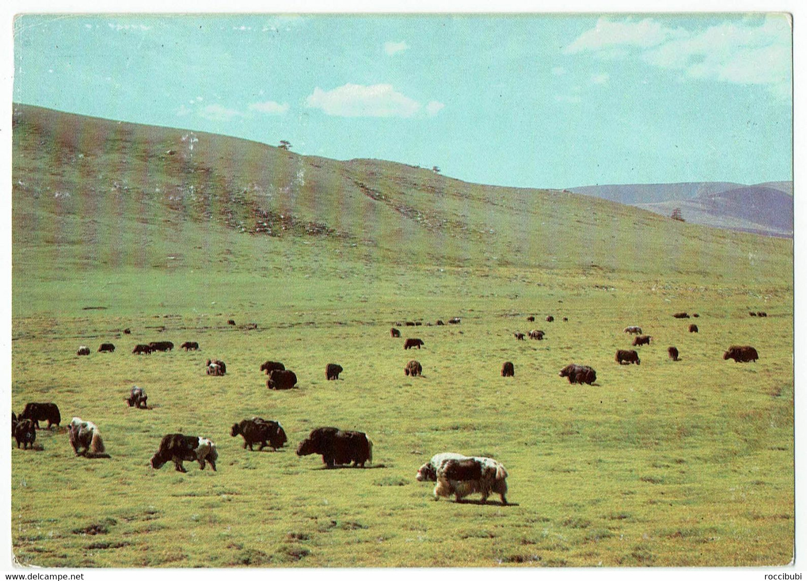 Mongolei - Mongolia