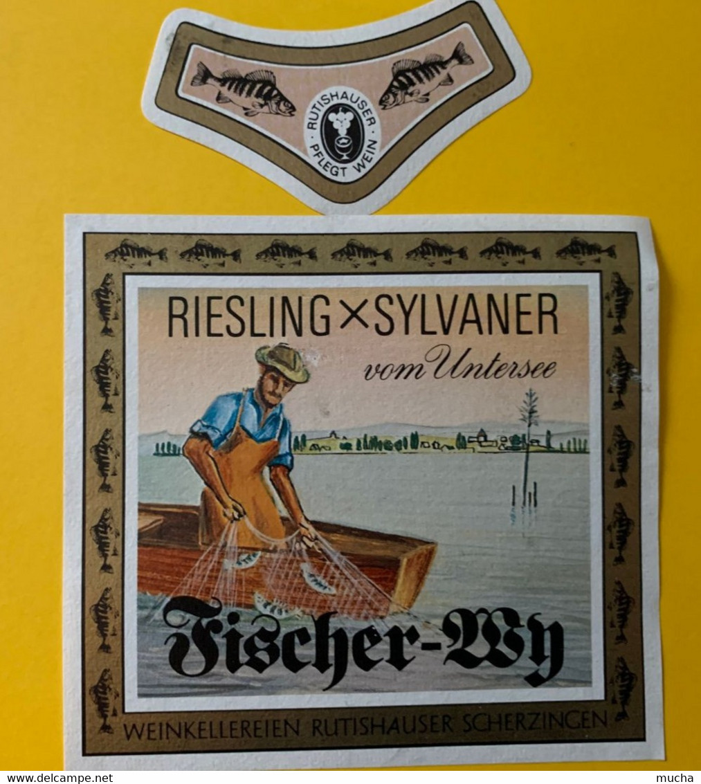 15946 - Riesling X Sylvaner Vom Untersee Fischer-Wy - Peces