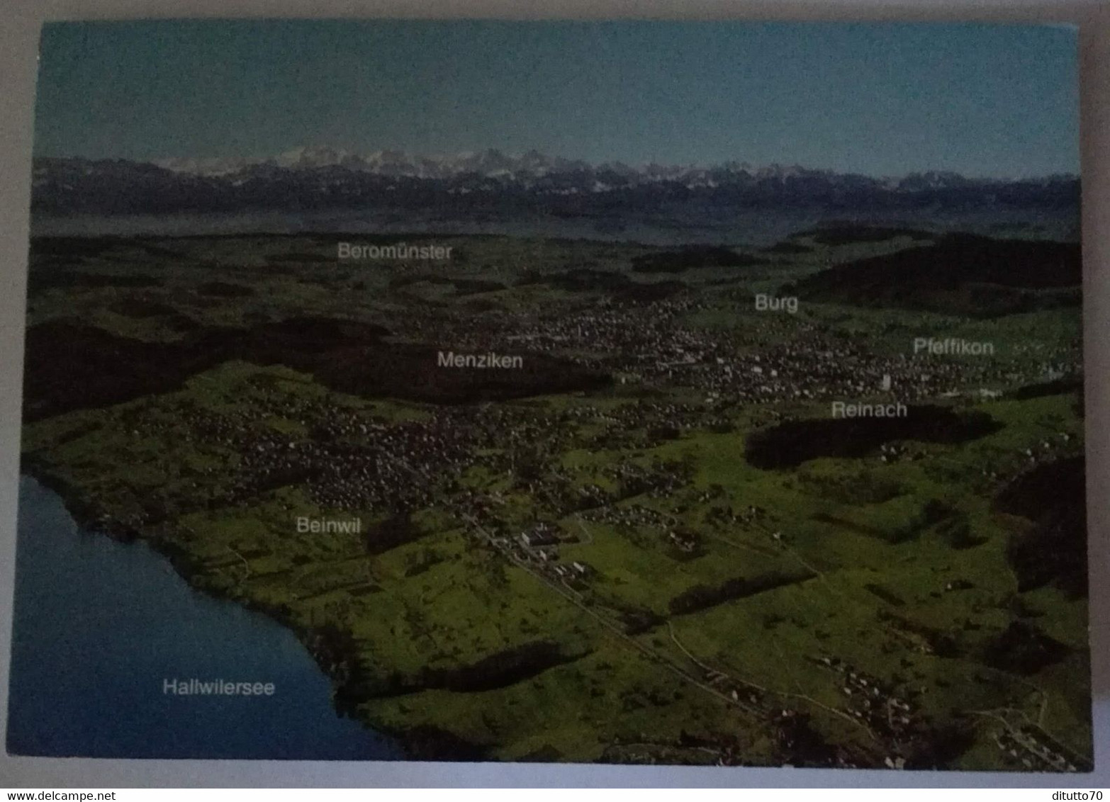 Beinwil - Menziken - Reinach - Flugautnahme Mit Hallwilersee Und Alpen - Formato Grande Viaggiata – E 17 - Beinwil Am See