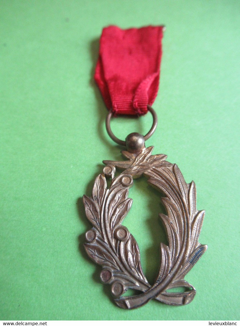 Mini-Médaille / Palmes Avec Ruban Rouge / Origine: Jeu D'enfant ?/ France / Bronze /  Vers 1900                  MED385 - France