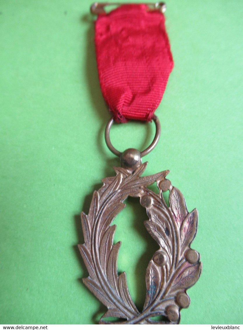 Mini-Médaille / Palmes Avec Ruban Rouge / Origine: Jeu D'enfant ?/ France / Bronze /  Vers 1900                  MED385 - France