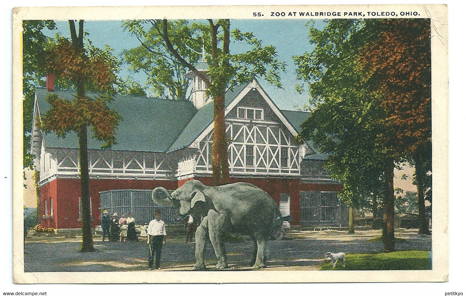 Etats-Unis - Zoo At Walbridge Park - Toledo, Ohio - Elephant - Toledo