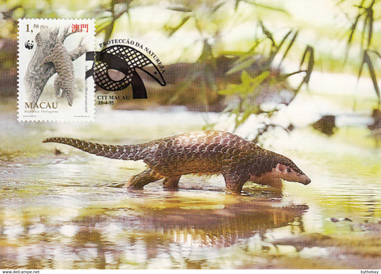 Macao 1995 Maxicard Sc #768 1.50p Chinese Pangolin WWF - Cartes-maximum