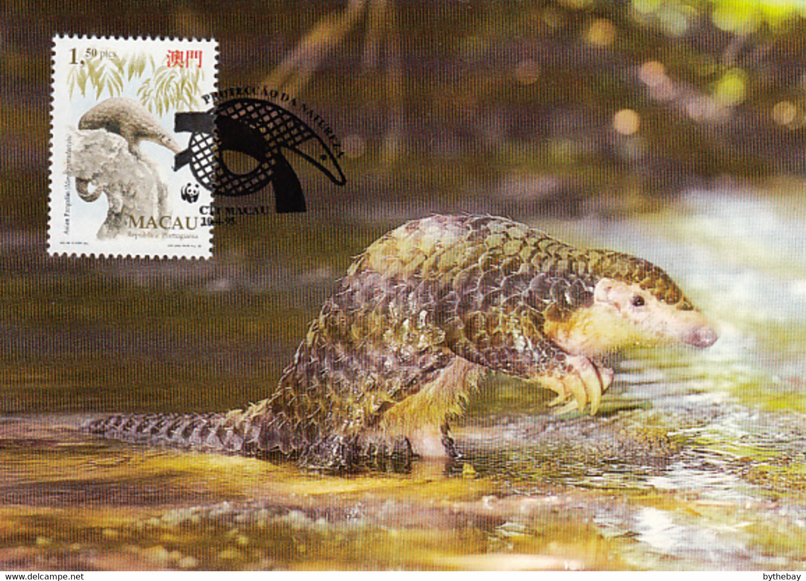 Macao 1995 Maxicard Sc #770 1.50p Chinese Pangolin WWF - Maximumkarten