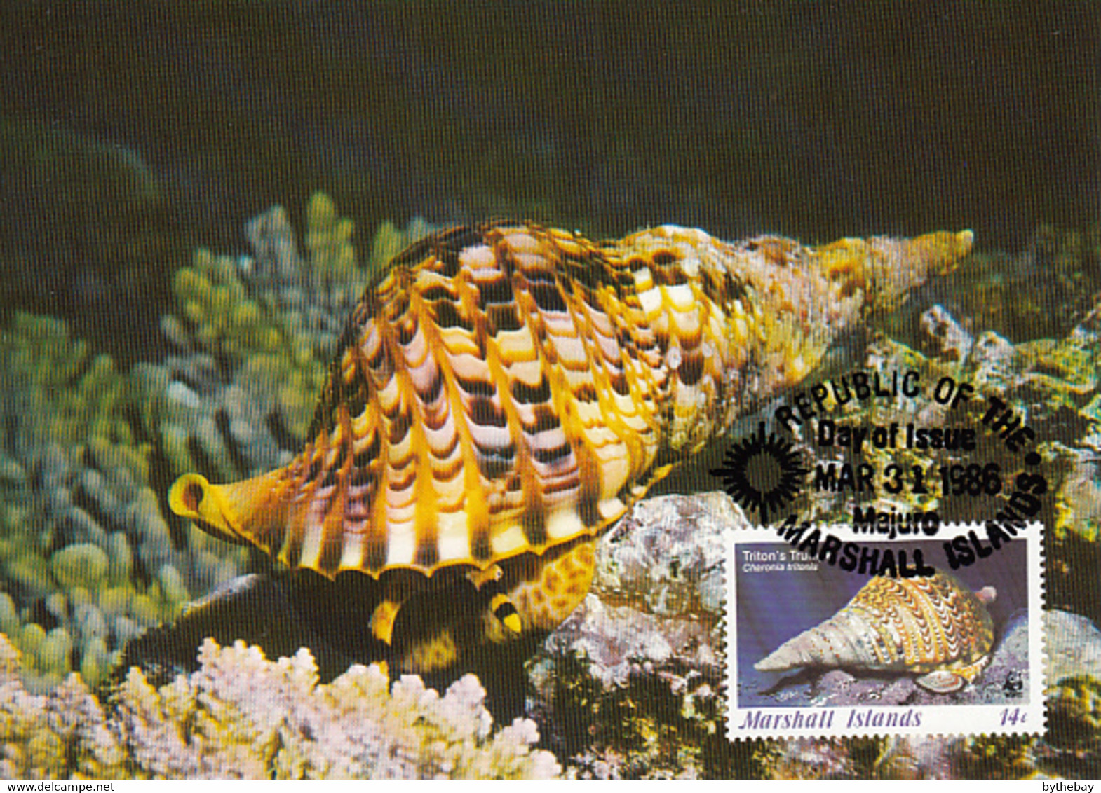 Marshall Islands 1986 Maxicard Sc #110 14c Triton's Trumpet Snail WWF - Marshallinseln