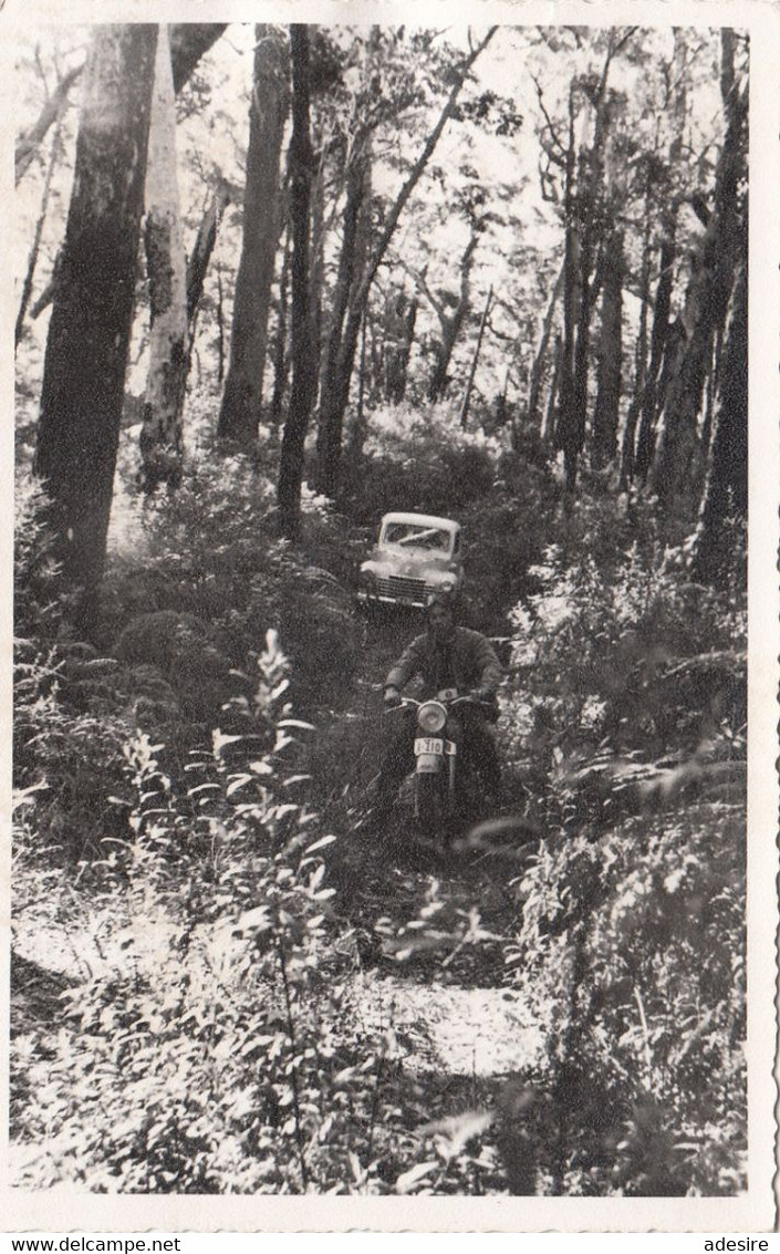 AUSTRALIEN Canberra 1955, Motorad Und Auto Fahren Durch Waldweg, Fotokarte Gel.1955 - Canberra (ACT)