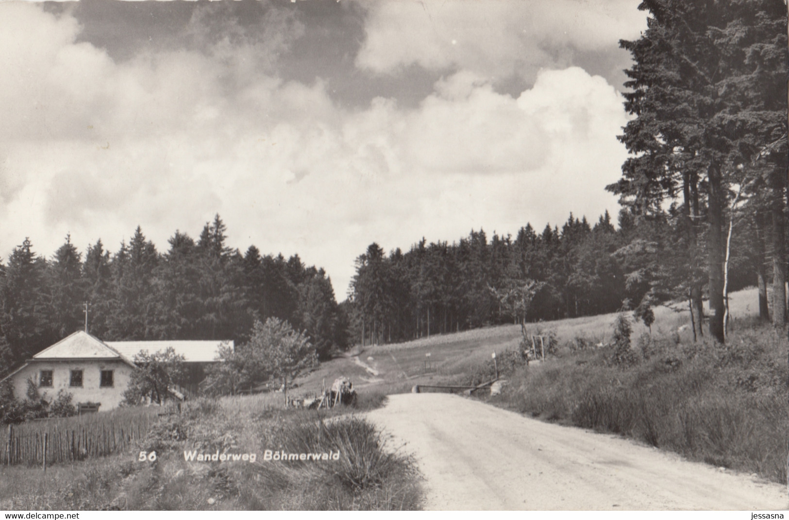 AK - OÖ - Wanderweg Im Böhmerwald - 1967 - Rohrbach