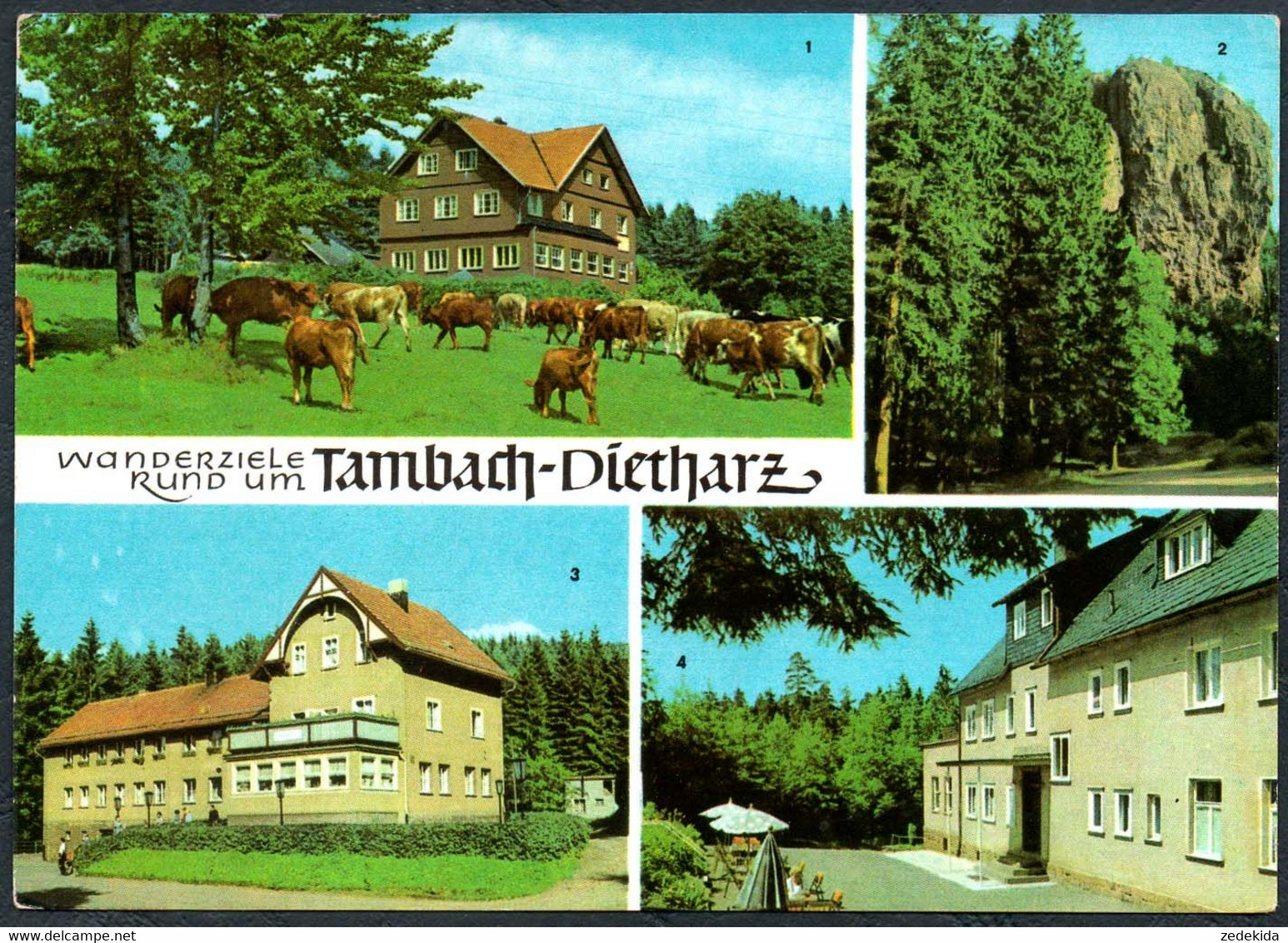 E1434 - Tambach Dietharz Hotel Ebertwiese Rotebachmühle Ho Gaststätte Waldbaude - Auslese Bild Verlag - Tambach-Dietharz