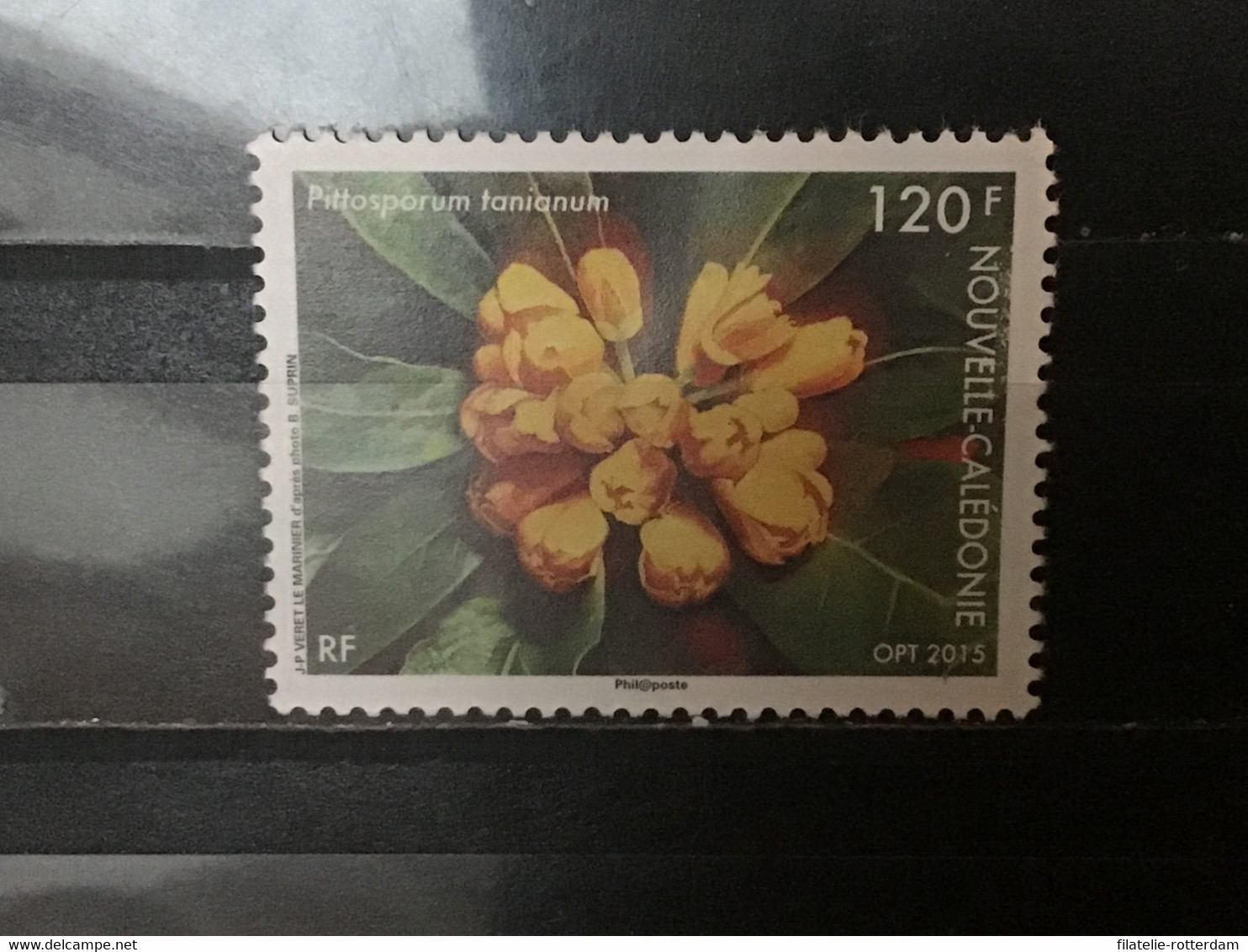 Nieuw-Caledonië / New Caledonia - Flora (120) 2015 - Gebraucht