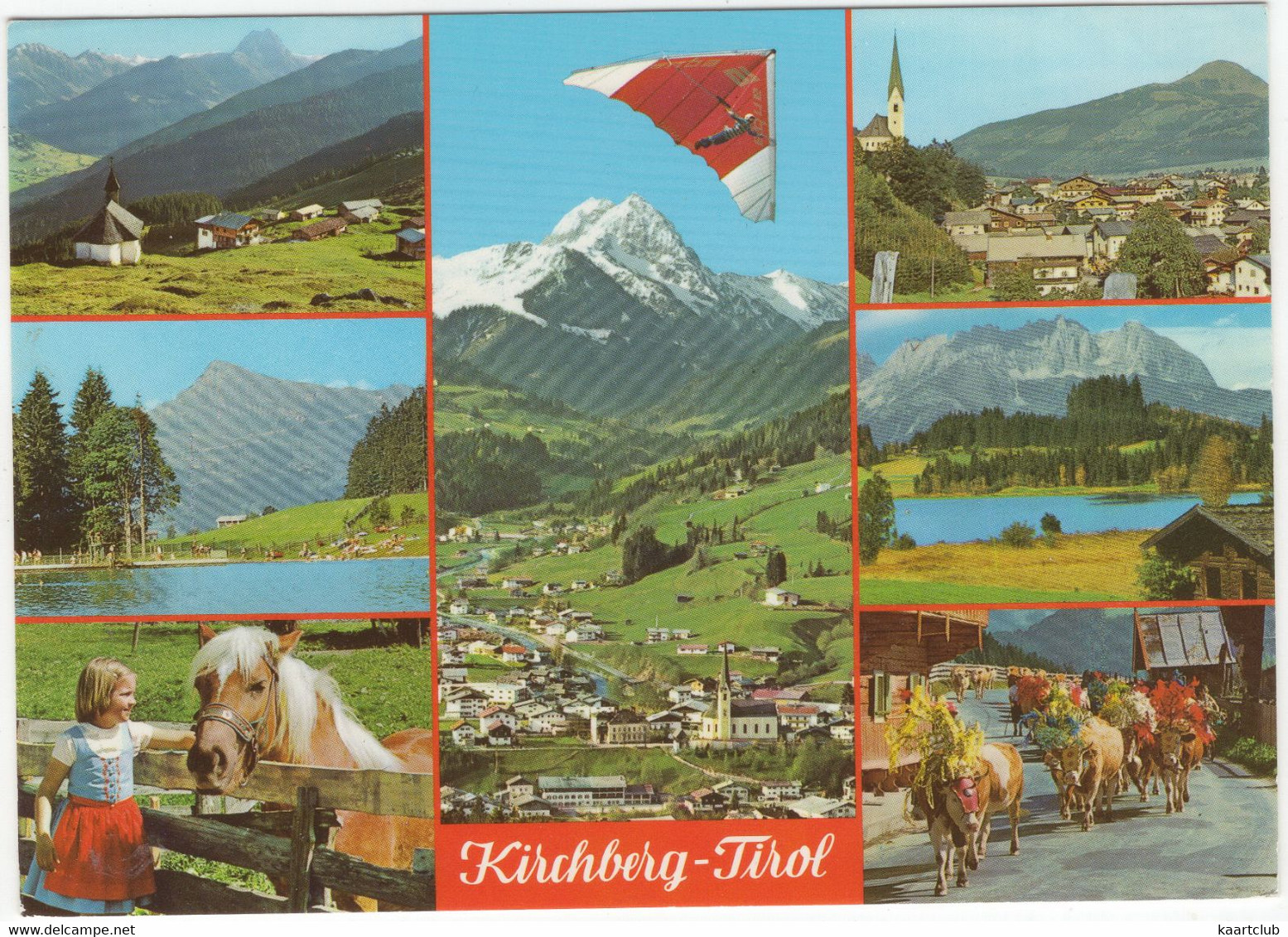 Kirchberg-Tirol - Kobingerhütte Rettenstein, Badesee, Haflinger, Hohe Salve, Schwarzsee, Almabtrieb - Hängegleiter - Kirchberg