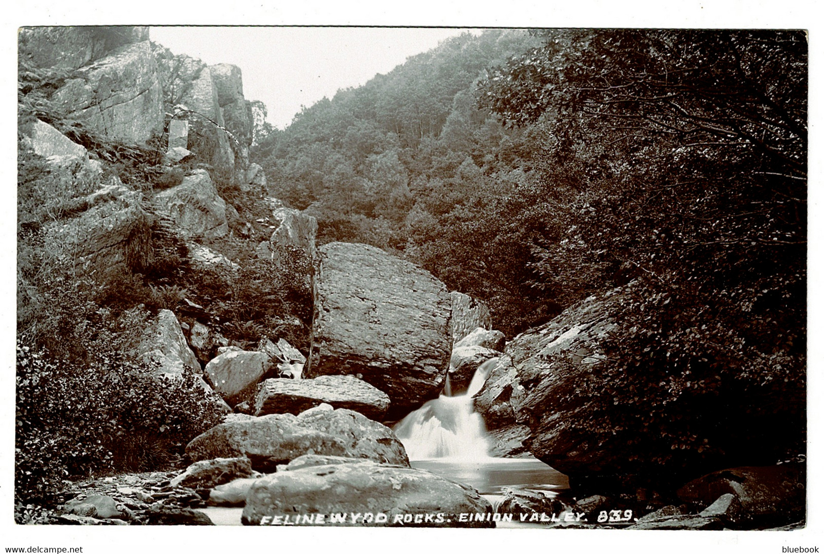 Ref 1402 - Early Real Photo Postcard - Feline Wydd Rocks - Einion Valley Wales - Unknown County