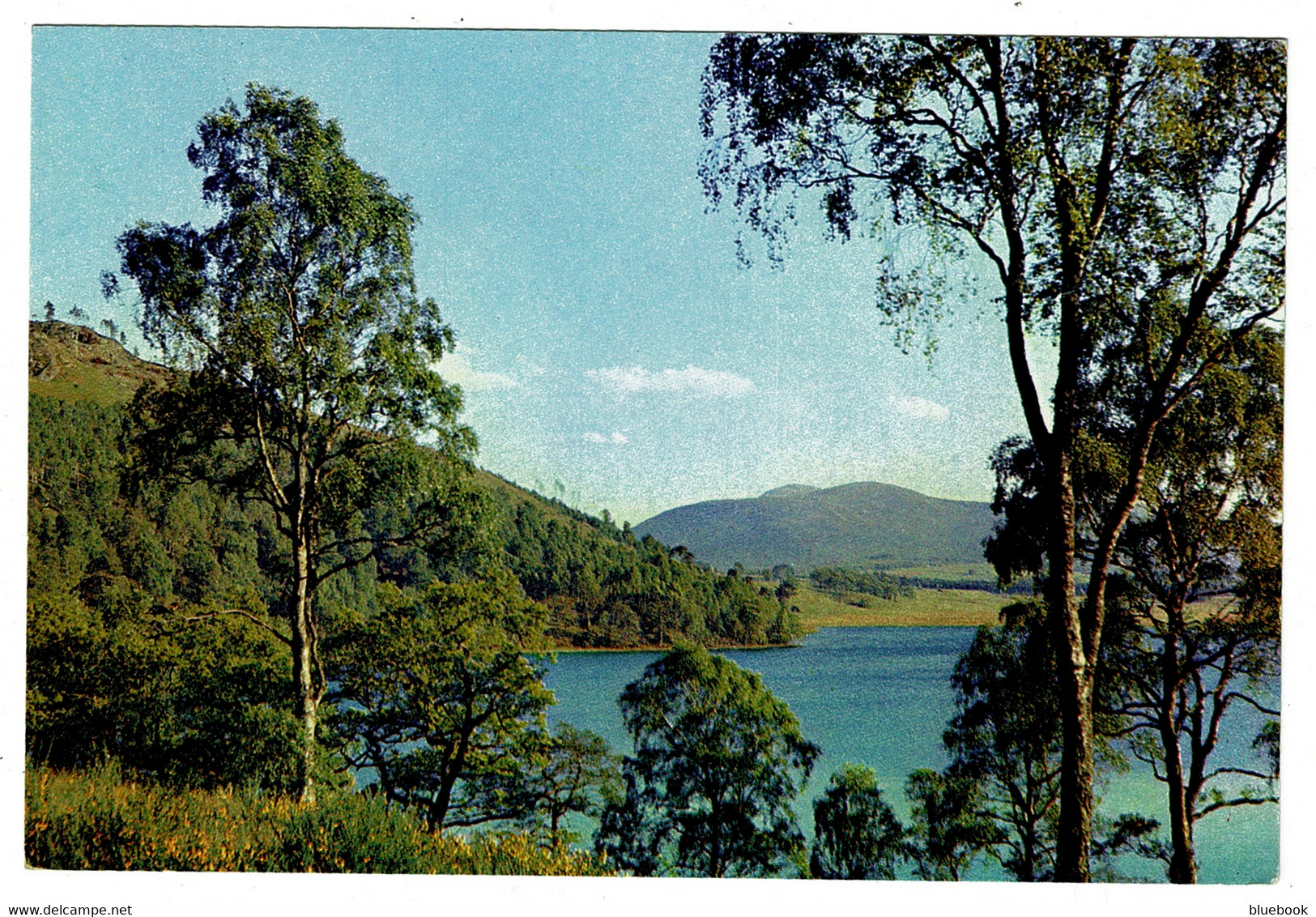 Ref 1402 - J. Arthur Dixon Postcard - Loch Pityoulish & Cairngorms Inverness-shire Scotland - Inverness-shire