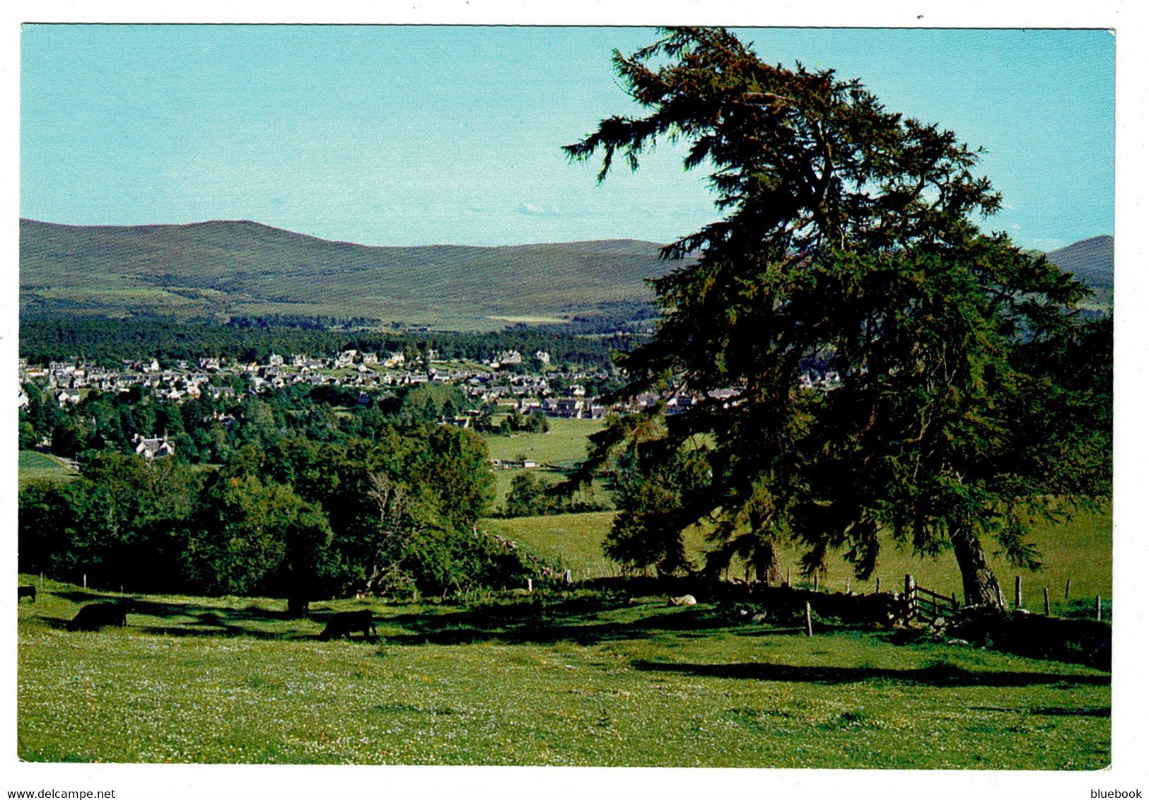 Ref 1402 - J. Arthur Dixon Postcard - Grantown-on-Spey  Moray Scotland - Moray