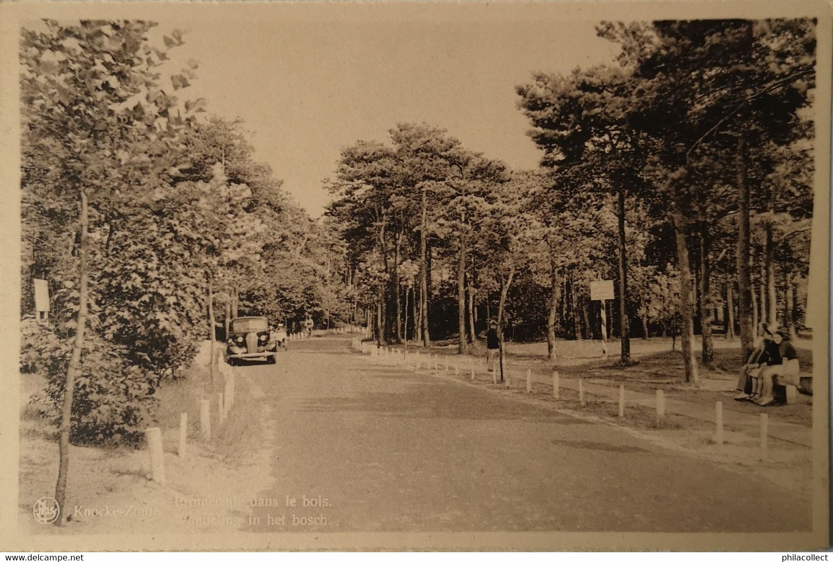 Le Zoute (Knokke) Promenade Dans Le Bois (Automobile) 19?? - Autres & Non Classés