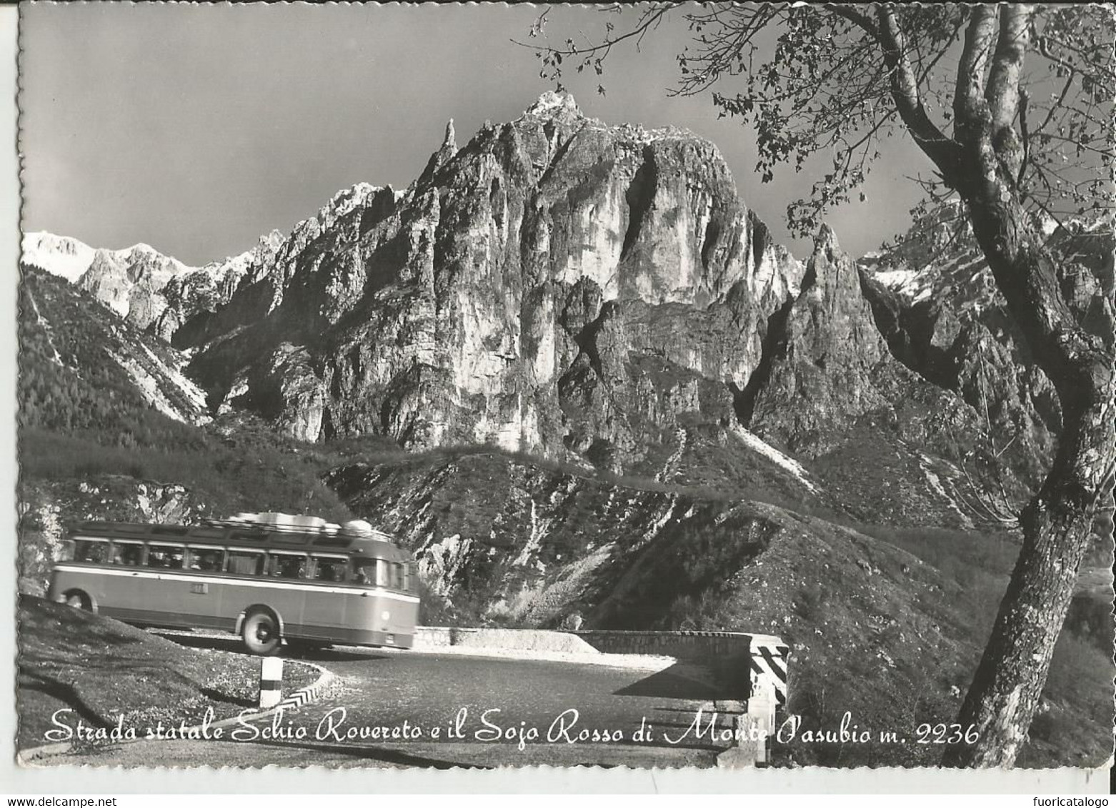 STRADA STATALE SCHIO ROVERETO E IL SOJO ROSSO DI MONTE PASUBIO-AUTOBUS EPOCA-FG - Vicenza