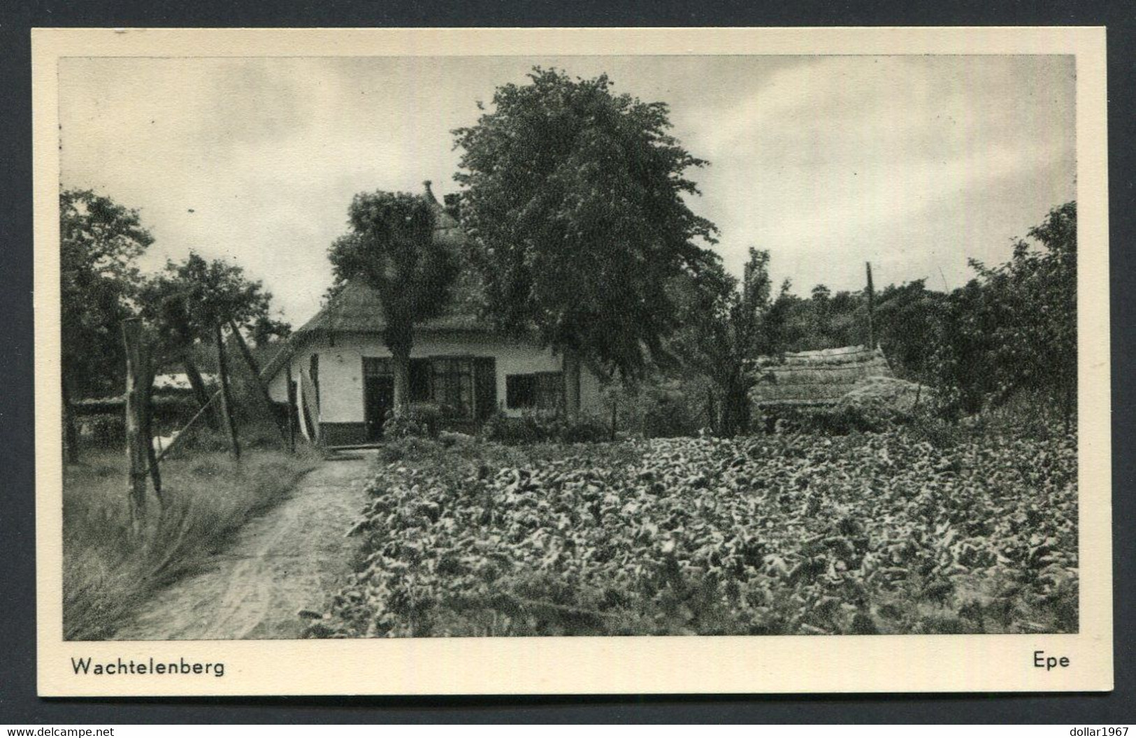 Wachtelenberg Epe - ( Vroeger Stadion ) Ongelopen..  -  NOT  Used  2 Scans For Condition.(Originalscan !! ) - Epe