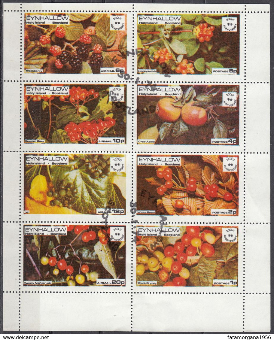 EYNHALLOW, HOLY ISLAND, SCOTLAND - 1974 - CINDERELLA, Foglietto Usato Con 8 Francobolli Raffiguranti Frutti Di Bosco. - Cinderella