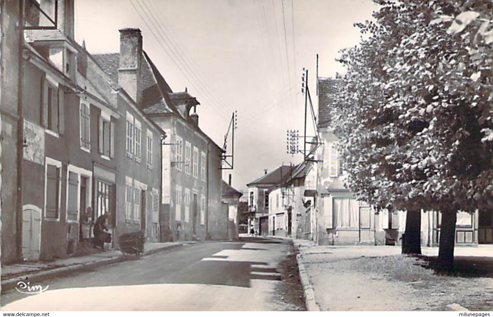 89 YONNE La Rue André Vildieu à COULANGES La VINEUSE - Coulanges La Vineuse