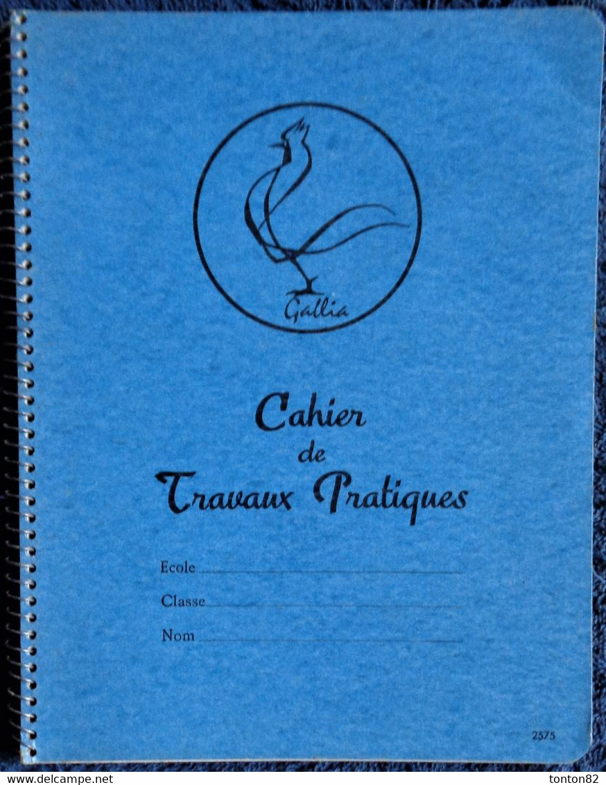 Cahier GALLIA - TP - Bleu à Spirale . - Transports