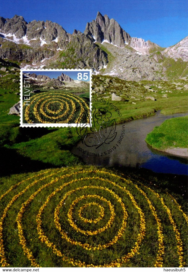 4 Maximumkarten 2019 Naturkunst Moosberger Zug / LandArt - Cartes-Maximum (CM)