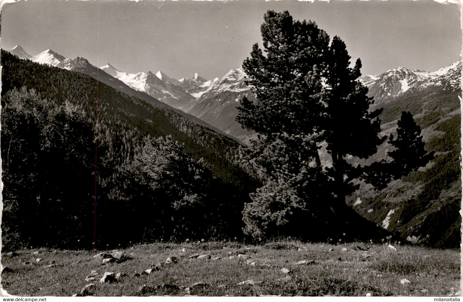 Chandolin - Vue De L'Hotel (11653) * 23. 8. 1948 - Phot. Gyger - Chandolin