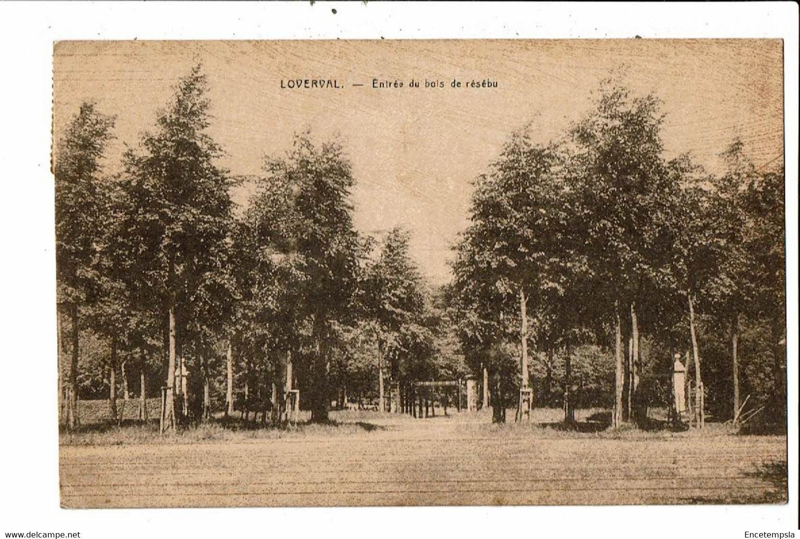 CPA-Carte Postale-Belgique Loverval- Entrée Du Bois De Résébu 1931VM22060dg - Gerpinnes