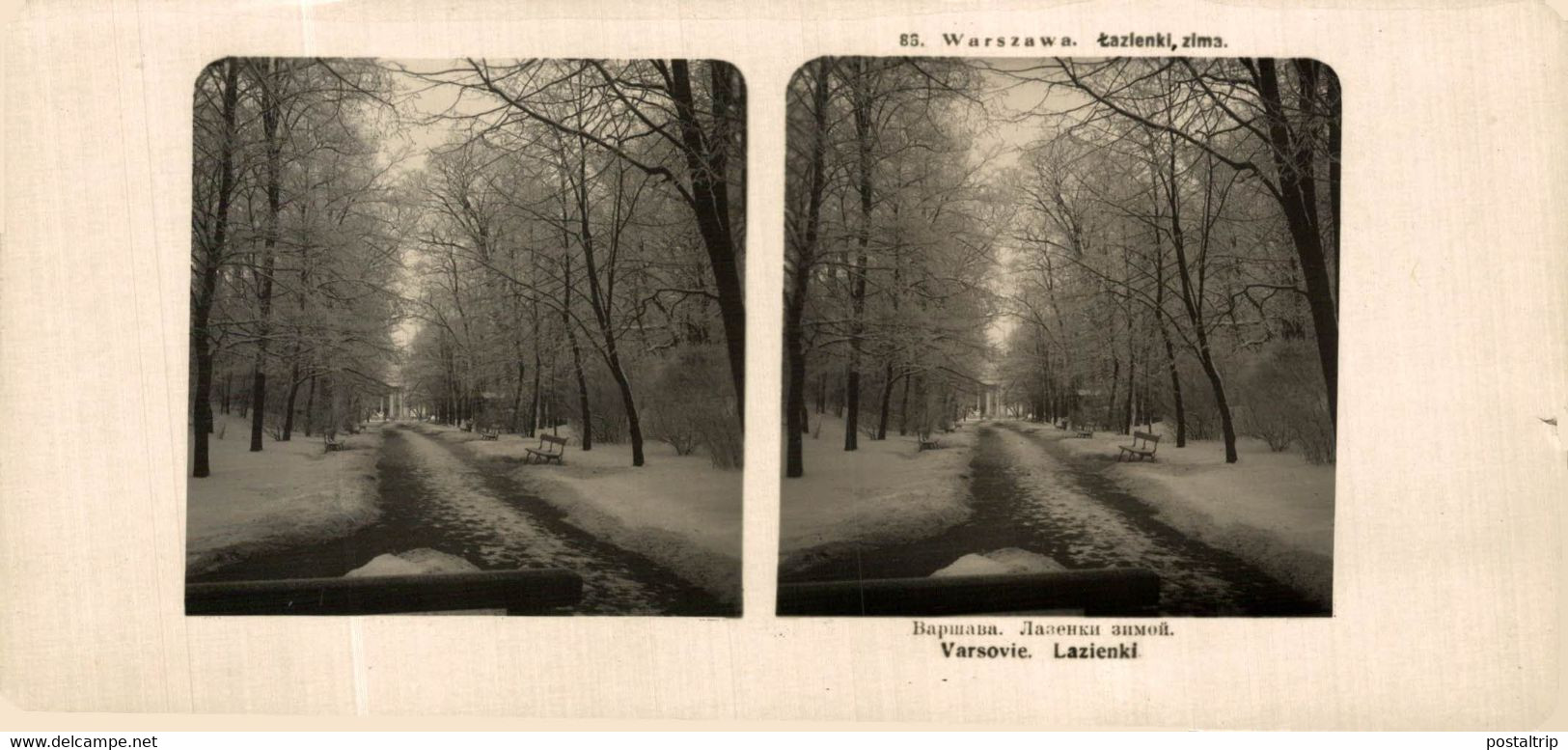 POLONIA. POLAND. VARSOVIE. LAZIENKI. - ESTEREOSCOPICA -  STÉRÉOSCOPIQUE - STEREOSCOPIC - Stereoscopic