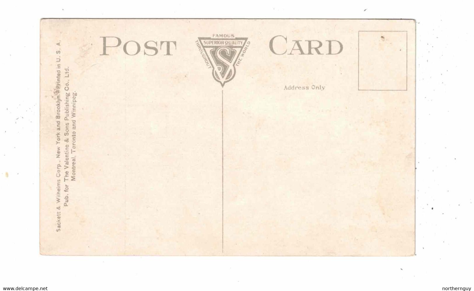 PORT ARTHUR, Ontario, Canada, C. N. R. Depot / Station, Pre-1920 Postcard, Thunder Bay County - Port Arthur