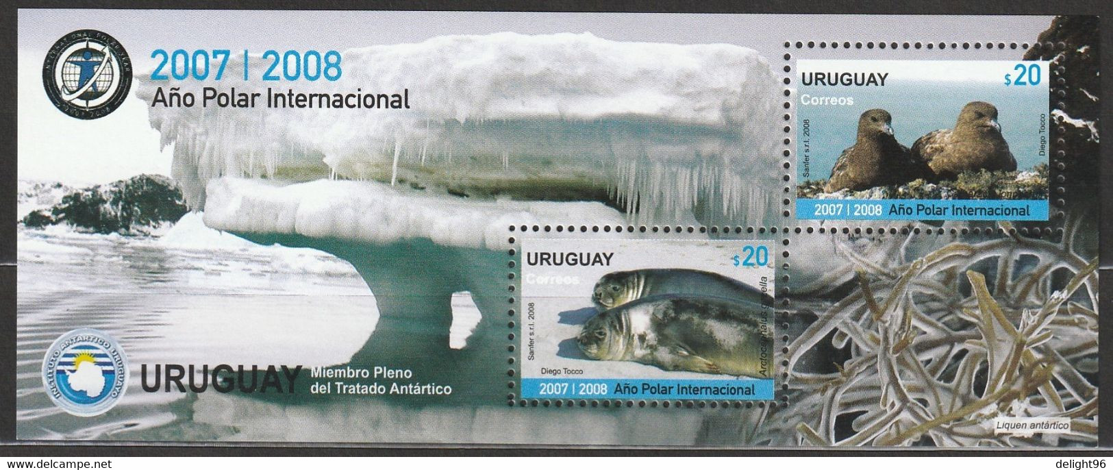 2008 Uruguay International Polar Year: Brown Skua, Antarctic Fur Seal Minisheet (** / MNH / UMM) - Internationale Pooljaar