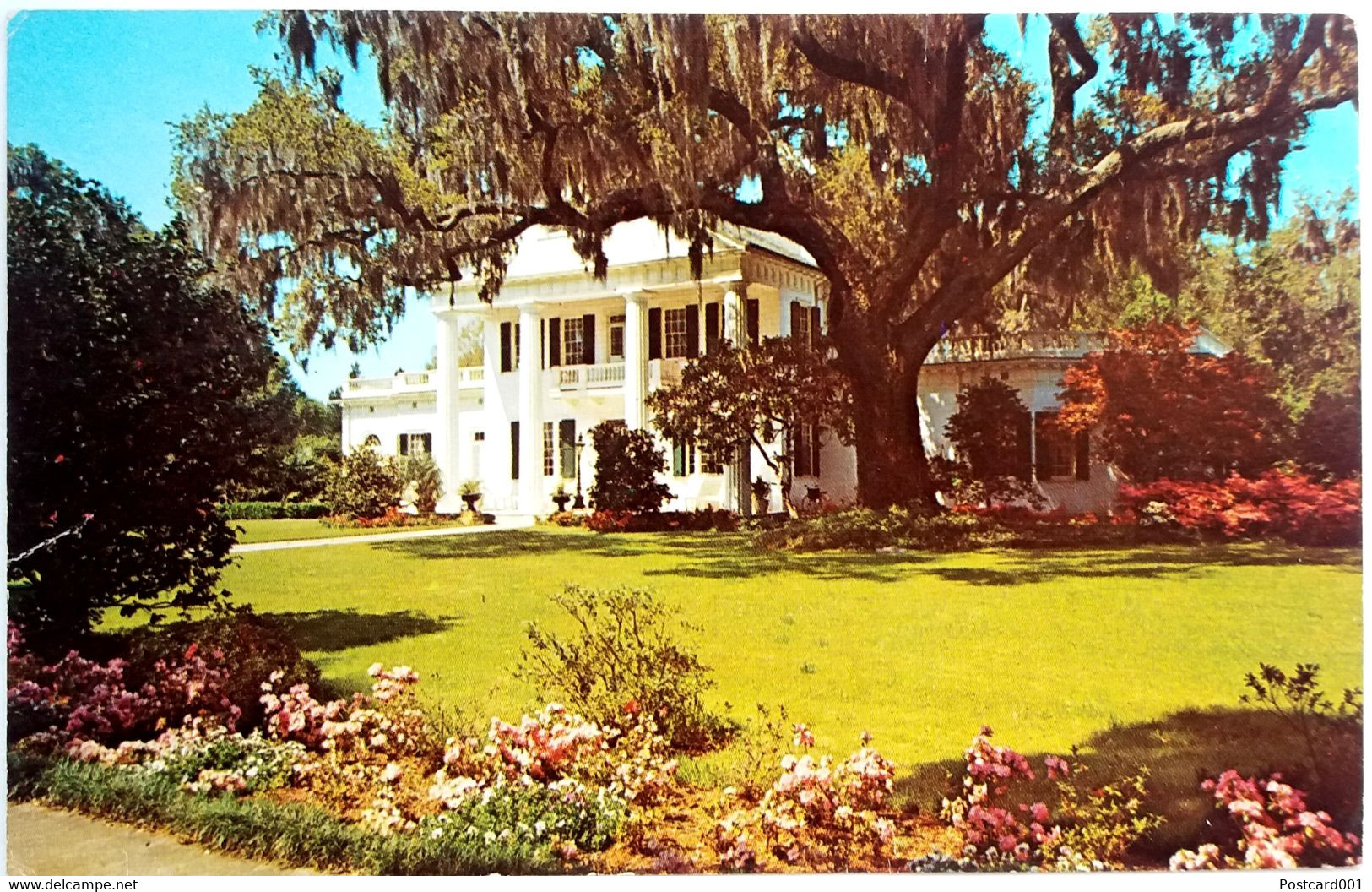 #911  Orton Plantation Near Wilmington -  North Carolina, US - Postcard - Wilmington