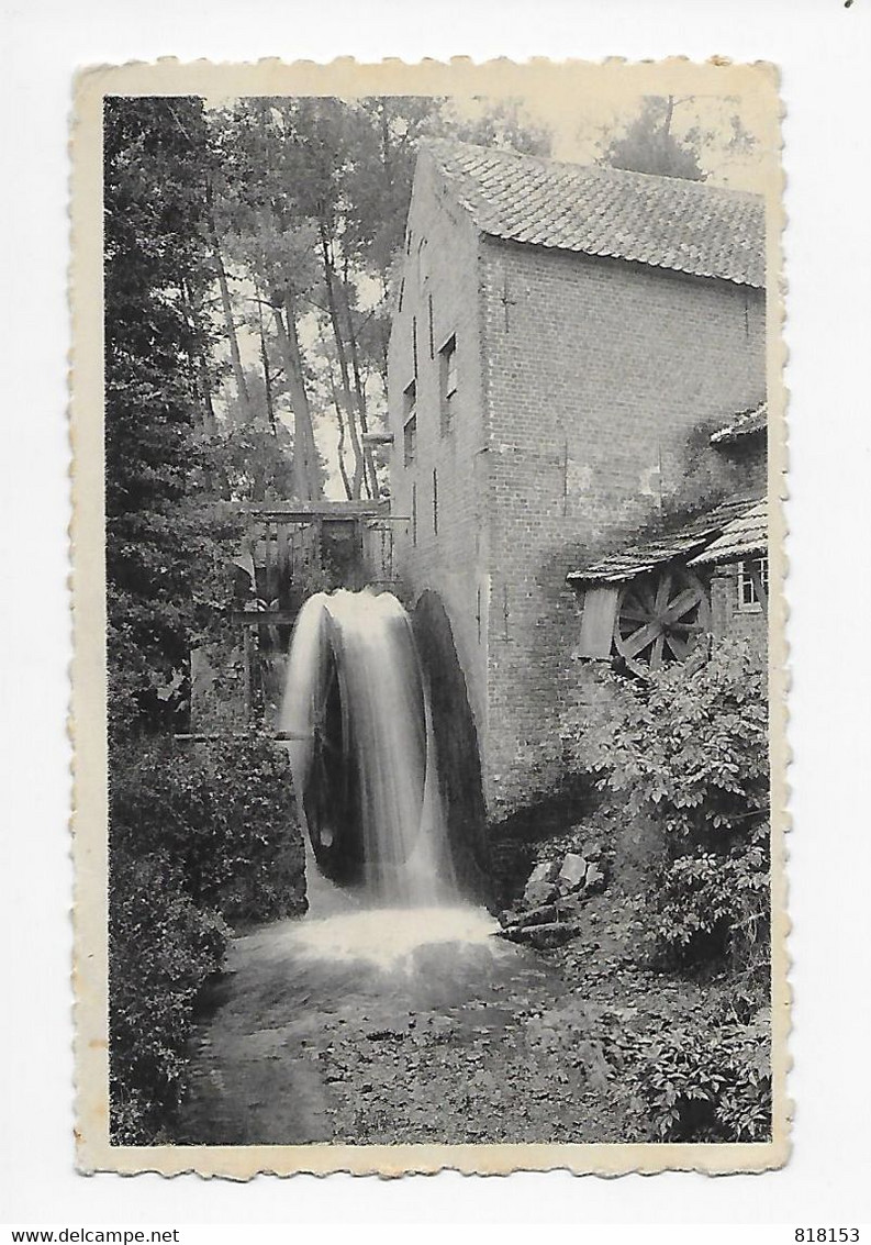 St-Lievens-Houtem   De Watermolen - Sint-Lievens-Houtem