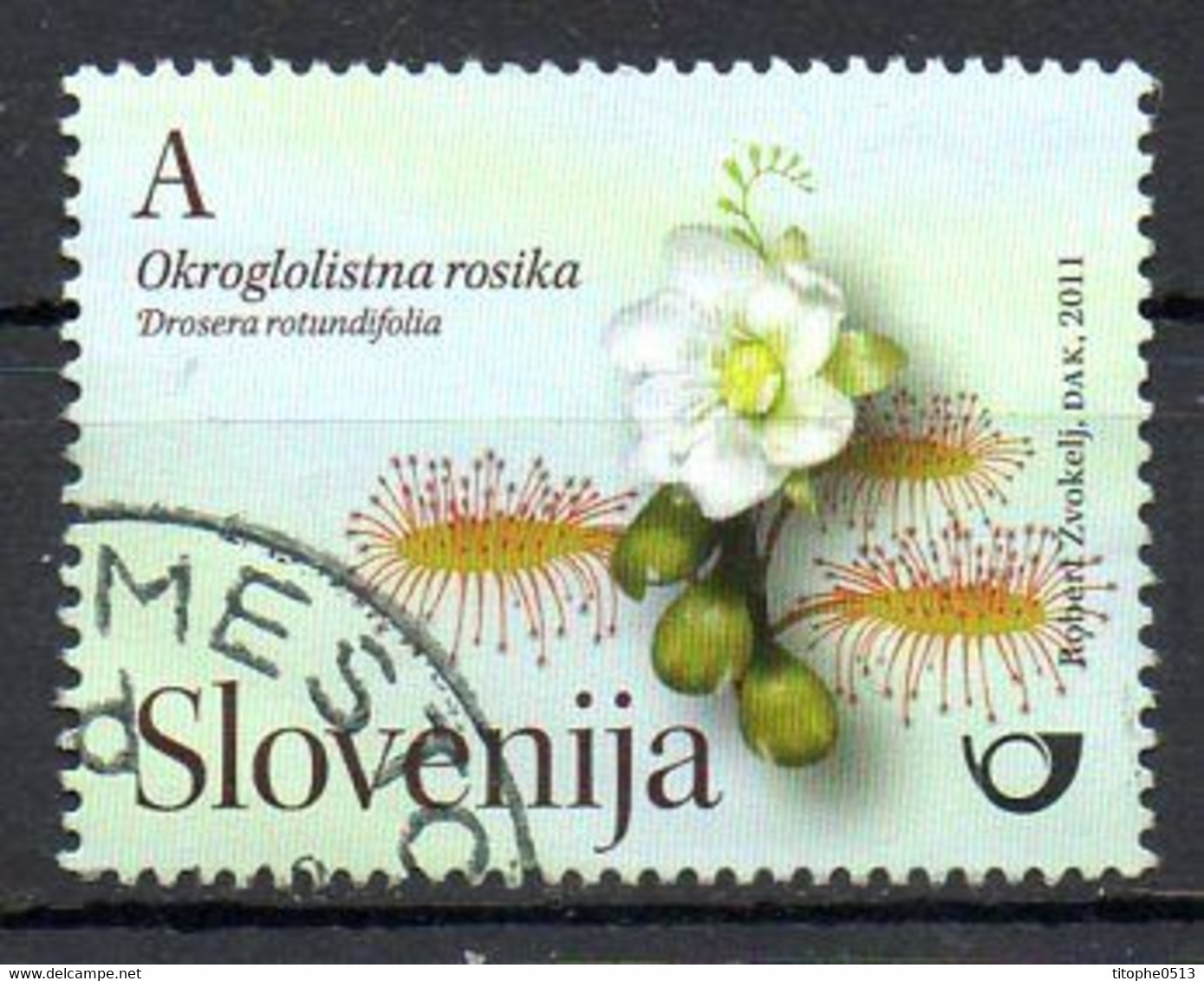SLOVENIE. N°734 De 2011 Oblitéré. Droséra. - Geneeskrachtige Planten