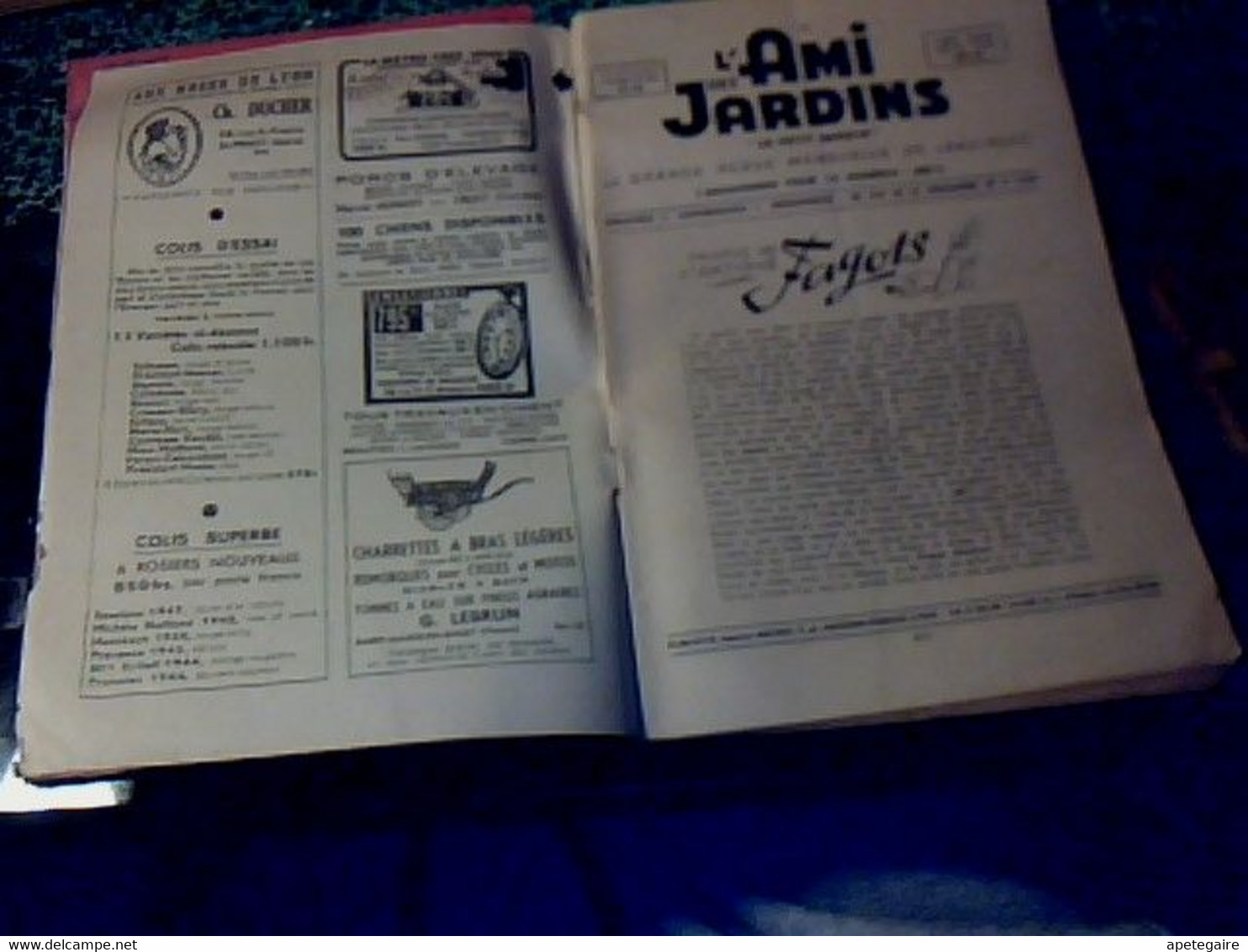 Revues L'ami Des Jardins Lot De 2 Janvier & Février 1949 - Jardinage