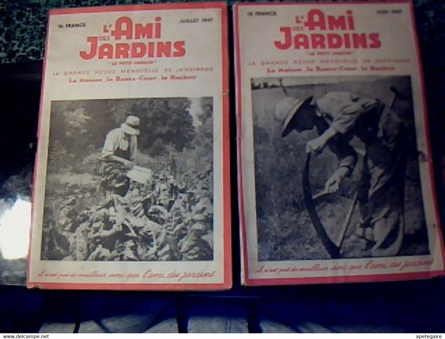 Revues L'ami Des Jardins Lot De 2 Juin & Juillet 1947 - Jardinería
