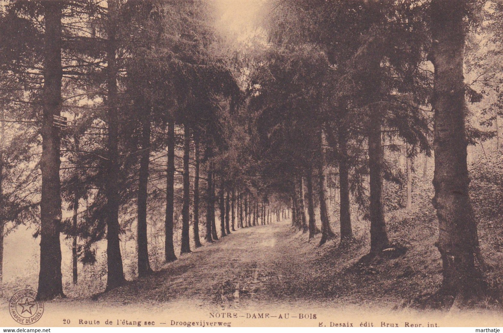 20 - Notre-Dame-Au-Bois - Route De L'étang Sec - Droogevijverweg - Overijse